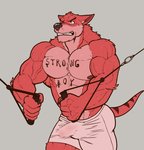 2017 abs absurd_res anthro barazoku bicep_curl biceps big_biceps big_muscles bodily_fluids body_writing bottomwear bulge canid canine clothed clothing dasyuromorph deltoids english_text erection erection_under_clothing exercise fur grey_background hi_res male mammal marsupial muscular muscular_anthro muscular_male nightterror nipples obliques pecs recently_extinct_species red_body red_fur shorts simple_background solo sweat text text_on_body thylacine tight_clothing topless topless_male vein veiny_muscles workout writing_on_chest