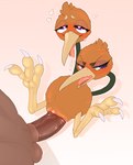 2024 2_heads avian backsash balls beak bestiality bird blush bodily_fluids brown_body brown_penis brown_skin claws digital_media_(artwork) do_&_du_(backsash) doduo duo embarrassed erection female female_on_human female_penetrated feral feral_penetrated fur generation_1_pokemon genital_fluids genitals group hair heart_eyes heart_symbol hi_res human human_on_feral human_penetrating human_penetrating_feral humanoid_genitalia humanoid_penis hydra_problems interspecies looking_pleasured lying male male/female male_on_feral male_penetrating male_penetrating_female mammal multi_head nintendo nude on_back open_mouth penetration penile penis pokemon pokemon_(species) pokephilia pussy sex simple_background smile solo_focus sweat toe_claws tongue tongue_out vaginal vaginal_penetration vein