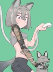 ambiguous_gender animal_humanoid bottomwear bra canid canid_humanoid canine canine_humanoid clothing dangomushidara duo female feral fox fox_ears fox_humanoid fox_tail green_background grey_fox grey_hair hair hi_res humanoid jaana_kettu mammal mammal_humanoid midriff prosthetic prosthetic_arm prosthetic_limb shorts shower_head shower_hose simple_background spandex spandex_shorts sports_bra tight_bottomwear tight_clothing tight_shorts underwear urocyon