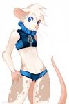 anthro biped blue_eyes bottomwear breasts camel_toe clothed clothing collar crop_top digital_media_(artwork) ear_piercing female hi_res hotpants macy_(chocoteenie) mammal midriff murid murine piercing pink_nose portrait rat rodent shirt shorts simple_background small_breasts solo standing three-quarter_portrait topwear white_background zamzi zipper