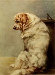 Rating: s
ID: 5552218
Date: 2025-05-06 01:57:41 -0400
Status: active
Score: 7
1910 20th_century ambiguous_gender ancient_art black_nose brown_body brown_fur canid canine canis domestic_dog feral fluffy freckled_face freckles full-length_portrait fur great_pyrenees livestock_guardian_dog mammal maud_earl molosser mountain_dog mouth_closed multicolored_body multicolored_fur pastoral_dog portrait shaded signature sitting snout soft_shading solo tail traditional_media_(artwork) two_tone_body two_tone_fur white_body white_fur post #5552218