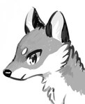 2018 ambiguous_gender black_nose canid canine digital_media_(artwork) feral flavia-elric fox fur greyscale inner_ear_fluff mammal monochrome mouth_closed simple_background sketch solo tuft white_background white_sclera