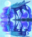 2015 animated begasuslu blingee_(artwork) blue_body blue_feathers blue_fur blue_hair digital_media_(artwork) drinking equid equine eyes_closed feathered_wings feathers female feral friendship_is_magic fur hair hasbro horn jewelry low_res mammal moon my_little_pony mythological_creature mythological_equine mythology necklace night princess_luna_(mlp) reflection short_playtime sky solo star tongue tongue_out water winged_unicorn wings