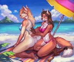 5_fingers anthro beach bikini bottomless bottomless_anthro bottomless_female breasts butt canid canine cleavage clothed clothing digital_media_(artwork) duo feet felicia_cat female female/female fingers fox fur hair hi_res kneeling looking_back mammal navel outside pawpads sand seaside smile sunscreen sunscreen_on_butt swimwear tail toes topwear towel two-piece_swimsuit water