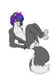 anthro anus balls bedroom_eyes blue_hair butt callimander eyeshadow femboy genitals hair half-closed_eyes makeup male mammal mephitid multicolored_hair narrowed_eyes navel nipples nude pinup pose purple_hair seductive shiply simple_background skunk solo white_background