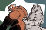 ailurid anthro canid canine canis duo guide_lines hi_res male male/male mammal musclegut muscular nightlynutart nude penetration red_panda simple_background size_difference sketch smaller_on_top wolf