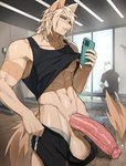 abs absurd_res anthro athletic_wear balls big_penis blonde_hair bodily_fluids bottomwear bottomwear_down cellphone clothed clothing domestic_cat electronics erection felid feline felis fur genital_fluids genitals gym gym_bottomwear gym_shorts hair hi_res holding_cellphone holding_object holding_phone holding_smartphone huge_penis male mammal muscular muscular_anthro muscular_male notglacier partially_clothed penis phone precum public public_exposure shirt shorts shorts_down smartphone solo sweat tail tan_body tan_fur tank_top throbbing throbbing_penis topwear vein veiny_penis