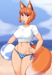 animal_ears animal_humanoid ball bangs beach beach_ball big_breasts bikini bikini_bottom biped blue_bikini blue_bikini_bottom blue_clothing blue_swimwear blurred_background breasts brown_ears canid canid_humanoid canine canine_humanoid clothed clothed_female clothed_humanoid clothing cloud collarbone day dipstick_tail eyebrow_through_hair eyebrows female female_humanoid fingers fluffy fluffy_tail food food_in_mouth fox_humanoid hair half-closed_eyes hand_on_hip hand_on_own_hip hi_res holding_ball holding_beach_ball holding_object humanoid inflatable inner_ear_fluff ittla light_body light_skin looking_at_viewer mammal mammal_humanoid markings midriff narrowed_eyes navel orange_eyebrows orange_hair orange_inner_ear orange_tail outside pattern_bikini pattern_clothing pattern_swimwear polka_dot_bikini polka_dot_clothing polka_dots popsicle popsicle_in_mouth portrait red_eyes sea shirt short_hair side-tie_bikini sky small_eyebrows solo spots spotted_bikini spotted_clothing spotted_swimwear string_bikini suzu_(ittla) swimwear tail tail_markings three-quarter_portrait tied_shirt topwear translucent translucent_hair tuft two-piece_swimsuit water white_clothing white_inner_ear_fluff white_shirt white_spots white_tail_tip white_topwear