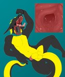 animal_genitalia anthro balls belly bodily_fluids cable camera collar deep_throat digital_media_(artwork) dragon ear_piercing ear_ring endoscope ernesto_(rebeldragon101) esophagus forked_tongue genitals hi_res homogenousrule internal long_ears male male_pred mythological_creature mythological_scalie mythology navel neck_bulge nude object_in_throat object_ingestion object_vore open_mouth oral oral_penetration pecs penetration piercing ring_piercing saliva scalie sheath solo swallowing tail teeth thick_sheath thick_thighs tight_balls tongue vore