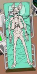 Rating: e
ID: 5354025
Date: 2025-02-05 18:58:27 -0500
Status: active
Score: -29
1:2 aged_up anthro blude550 breasts cardiac_monitor elderly elderly_female emaciated eyes_closed female frail genitals grey_body hair hi_res iv_line life_support mask medical medical_instrument monika_(lordbooce) nude oxygen_mask sagging_breasts scar scientific_instrument shaved_pussy short_hair solo tediz vulva white_hair wrinkles post #5354025