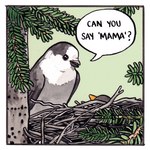 1:1 ambiguous_gender avian beak bird canada_jay comic comic_panel corvid cowbird dialogue duo english_text falseknees feathers feral grey_body grey_feathers grey_jay icterid jay_(bird) nest one_panel_comic oscine parent_(lore) parent_and_child_(lore) passerine plant text traditional_media_(artwork) tree white_body white_feathers