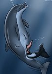 2016 abdominal_bulge anal anal_vore anatomically_correct anatomically_correct_genitalia anatomically_correct_penis animal_genitalia animal_penis anus belly big_belly black_body black_skin bodily_fluids body_invasion bottlenose_dolphin bubble cetacean cetacean_genitalia cetacean_penis commerson's_dolphin cum cum_in_water cumshot dolorcin dolphin duo ejaculation erection eyes_closed feral feral_pred feral_prey flukes genital_fluids genital_slit genitals grey_body grey_skin head_first hi_res larger_male larger_pred male male/male male_pred male_prey mammal marine oceanic_dolphin open_mouth partially_inside penis sea signature size_difference smaller_male smaller_prey soft_vore tapering_penis toothed_whale underwater vore water white_body white_skin willing_prey year