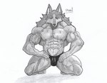 abs anthro barazoku brand_new_animal canid canine canis clothing feet fur hi_res kneeling looking_at_viewer male mammal monochrome muscular muscular_anthro muscular_male nipples pecs pinumontbalou shirou_ogami solo spread_legs spreading studio_trigger swimwear underwear wet wet_body wet_fur wolf