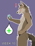 3:4 anthro balls billybobjoey blush canid canine canis coyote electronics exclamation_point flat_shading fuzzy_balls genitals green_eyes hi_res male mammal neck_tuft nipples nude outline phone pregnant pregnant_anthro pregnant_male side_view simple_background solo speech_bubble surprise surprised_expression tail text tuft vector