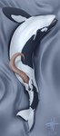 Rating: e
ID: 5575699
Date: 2025-05-16 00:43:02 -0400
Status: active
Score: 39
2024 absurd_res animal_genitalia animal_penis black_body blue_eyes cetacean cetacean_genitalia cetacean_penis dolphin erection feral fish genital_slit genitals herm herm_feral hi_res hybrid intersex intersex_feral mammal marine marmire multicolored_body oceanic_dolphin open_mouth orca penis pussy sea shadow shark solo tapering_penis toothed_whale two_tone_body water wesphin white_body year post #5575699