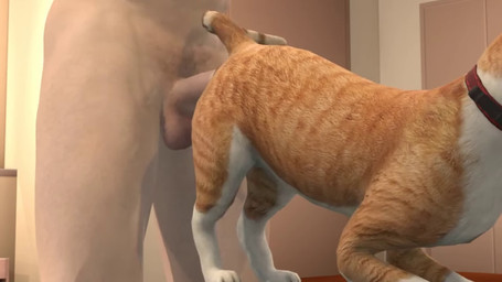 Rating: e
ID: 5684920
Date: 2025-07-03 22:58:11 -0400
Status: active
Score: 165
16:9 3d_(artwork) 3d_animation ambiguous_feral ambiguous_gender anal anal_penetration animated balls bestiality collar digital_media_(artwork) domestic_cat duo felid feline felis feral feral_penetrated fur furniture genitals hi_res high_framerate human human_on_feral human_penetrating human_penetrating_feral interspecies larger_human larger_male male male/ambiguous male_human male_on_feral male_penetrating_feral mammal no_sound on_table onoono orange_body orange_fur penetration penile penile_penetration penis penis_in_ass quadruped raised_tail red_collar sex short_playtime size_difference smaller_ambiguous smaller_feral smaller_penetrated table tail webm widescreen post #5684920