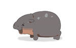 16:10 2024 ambiguous_gender animated baby countershade_face countershade_neck countershading dancing eyes_closed female_(lore) feral grey_body grey_skin happy hippopotamid jiggling kushiro_yuu loop mammal moo_deng no_sound open_mouth pygmy_hippopotamus quadruped real_world seamless_loop short_playtime simple_background solo tan_body tan_countershading tan_skin webm white_background widescreen young young_feral