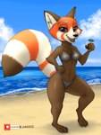 absurd_res ailurid anthro bikini black_nose blackberries_(raspberrieswh) breasts canid canine clothed clothing fan_character female hi_res link6432 mammal markings midriff navel red_panda ring_(marking) ringed_tail simple_background solo striped_markings striped_tail stripes swimwear tail tail_markings thick_thighs two-piece_swimsuit