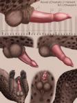 3:4 anatomically_correct anatomically_correct_genitalia anatomically_correct_penis anatomy anatomy_reference animal_genitalia animal_penis anus artist_name balls biological_illustration brown_body butt character_name cheepard cheetah claws close-up colored detailed digital_media_(artwork) digital_painting_(artwork) directional_arrow disembodied_penis english_text erection feet felid feline feline_genitalia feline_penis feral fully_sheathed fur genital_shot genitals hi_res male mammal markings measurements metric_unit model_sheet multiple_images number penile_spines penis penis_sheet penis_shot penis_tip pink_penis quadruped reference_guide revad sheath simple_background solo species_name spots spotted_body spotted_fur standing tail technical_illustration text toe_claws toes unit vein veiny_penis zoological_illustration