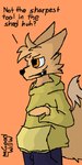 1:2 absurd_res anthro big_tail bottomwear canid canine clothing confident digital_media_(artwork) fluffy fluffy_tail fox fur goodwillw hi_res hoodie lin_fox_(goodwillw) male mammal orange_background orange_body orange_fur pants pixel_(artwork) rude shorty_doggy simple_background snaggle_tooth tail topwear