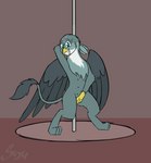 animated avian dancing female feral friendship_is_magic gabby_(mlp) gryphon hand_on_pussy hasbro my_little_pony mythological_avian mythological_creature mythology pole pole_dancing short_playtime solo sombird stripper_pole teats