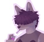 anthro black_hair canid canine canis cigarette clothing fur grey_body grey_fur hair hair_over_eyes lighter male mammal simple_background slayworld solo summrs topwear