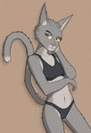 absurd_res anthro bra breasts clothing colored countershading digital_drawing_(artwork) digital_media_(artwork) eyebrows felid feline female female_anthro fur grey_body grey_fur hi_res johndoe8771 looking_at_viewer mammal multicolored_body multicolored_fur navel nude shaded simple_background small_breasts smile solo standing sylvania_(johndoe8771) tail thong tight_clothing underwear yellow_eyes