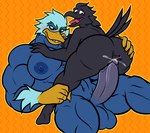 2022 2023 absurd_res anatid anseriform anthro anthro_on_anthro anthro_penetrated anthro_penetrating anthro_penetrating_anthro antidaeon avian balls beak big_balls big_butt big_muscles big_pecs big_penis bird black_body black_feathers blue_body blue_feathers blush bodily_fluids breasts butt chaotic corvid corvus_(genus) crossgender crow digital_drawing_(artwork) digital_media_(artwork) duck duo elfein_(character) erection feathers female female_penetrated genital_fluids genitals gradient_penis hi_res humanoid_genitalia humanoid_penis male male/female male_penetrating male_penetrating_female mango_juicebara manly mtf_crossgender muscular muscular_anthro muscular_male nipples non-mammal_balls non-mammal_nipples nude orange_background orange_beak orange_hands oscine passerine pattern_background pecs penetration penile penile_penetration penis penis_in_pussy prodding sex simple_background size_difference smaller_penetrated third-party_edit vaginal vaginal_fluids vaginal_penetration