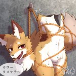 1:1 2023 acky05 animate_inanimate anthro bdsm bodily_fluids bondage bound brown_body brown_fur canid canine clothing costume detachable detachable_head featureless_crotch femboy fox fur fursuit headless hi_res hollow_body japanese_text kemono living_clothing living_costume living_fursuit male mammal open_mouth red_eyes restraints rope rope_bondage simple_background solo sweat sweatdrop tail text tongue unusual_anatomy zipper