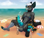 absurd_res animal_genitalia animal_penis anthro anthro_pred arya_(xanedis) ball_fondling balls beach big_breasts bodily_fluids breasts canid canine canine_genitalia canine_penis cervine_genitalia cervine_penis chewyennui cum cum_drip deer dripping ejaculating_on_another ejaculation extreme_size_difference feet feet_first female female_anthro fennec_fox fondling foot_fetish fox genital_fluids genitals gentle_giant group hi_res inside jax_(xanedis) knot kobold larger_male licking macro male male/female male/male mammal micro new_world_deer nova_(xanedis) on_tongue oral oral_vore partially_inside pawpads paws penile penis penis_lick penis_worship reindeer sex size_difference smaller_female tongue true_fox vore xanedis_(xanedis)