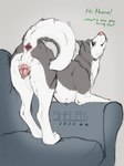 Rating: e
ID: 4729262
Date: 2024-04-18 23:44:56 -0400
Status: active
Score: 612
2024 anatomically_correct anatomically_correct_anus anatomically_correct_genitalia anatomically_correct_pussy animal_genitalia animal_pussy anus artist_name asking ass_up butt canid canine canine_genitalia canine_pussy canis colored colored_sketch dated dialogue digital_drawing_(artwork) digital_media_(artwork) digitigrade domestic_dog english_text female feral flirting flirting_with_viewer fluffy fluffy_tail fur furniture genitals green_eyes greeting grey_background grey_body grey_fur hi_res husky inviting looking_at_viewer looking_back looking_back_at_viewer mammal monotone_anus monotone_genitals multi_nipple multicolored_body multicolored_fur nipples nordic_sled_dog on_sofa paws pink_anus pink_nipples pink_nose pink_pussy presenting presenting_anus presenting_hindquarters presenting_pussy pussy quadruped question raised_tail realistic_feral rear_view seductive shelby_(sketchy_shelby) siberian_husky signature simple_background sketch sketchy_shelby smile smiling_at_viewer sofa solo spitz standing tail tail_anus talking_feral talking_to_viewer text two_tone_body two_tone_fur white_body white_fur post #4729262