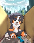 Rating: s
ID: 2224096
Date: 2020-04-20 12:02:52 -0400
Status: active
Score: 71
3_fingers 3_toes 4:5 abandoned adoption_box ambiguous_gender anthro arms_bent bernese_mountain_dog big_head blaze_(marking) bodily_fluids bone box brown_nose bubble building canid canine canis cardboard cardboard_box cheek_tuft chew_toy city cloud container countershade_torso countershading day detailed_background diacordst dipstick_tail domestic_dog eyes_closed facial_markings facial_tuft featureless_crotch feet fingers floppy_ears front_view fur hands_on_legs hands_on_own_legs hands_on_own_thighs hands_on_thighs head_markings hi_res in_box in_container mammal markings molosser mountain_dog multicolored_body multicolored_fur multicolored_tail neck_tuft newspaper nude open_mouth orange_body orange_fur outside pawpads paws plantigrade shadow signature silhouette sitting sky skyscraper sleeping snot snot_bubble soles solo sound_effects spread_legs spreading swiss_mountain_dog tail tail_markings toes tongue touching_legs touching_own_legs touching_own_thighs touching_thighs tuft two_tone_tail urban vowelless vowelless_sound_effect white_body white_countershading white_fur white_tail young young_anthro zzz post #2224096