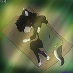 1:1 alternate_version_at_source anthro bedding black_body black_fur blanket canid canine canis female fur hair long_hair mammal sleeping solo story story_in_description street_urchin_(wolfie-pawz) white_body white_fur wolf wolfie-pawz young