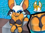 anthro bat bent_over bikini bikini_top blush butt canid canine clothing duo female fox hi_res male male/female mammal miles_prower pool rouge_the_bat sega shumpy sonic_the_hedgehog_(series) swimwear two-piece_swimsuit