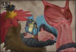 Rating: e
ID: 5419144
Date: 2025-03-07 22:51:06 -0500
Status: active
Score: 154
animal_genitalia animal_penis animal_pussy anthro anthro_on_anthro anthro_penetrated anthro_penetrating anthro_penetrating_anthro aroused artist_logo artist_name avian bicornuate_uterus biped bird blue_body bodily_fluids canid canine canine_genitalia canine_pussy cervical_penetration cervix clitoris cloacal cloacal_penis close-up cowgirl_position cum cum_drip cum_in_pussy cum_in_uterus cum_inside cumshot deave decidueye digital_media_(artwork) dripping duo ejaculation erection excessive_cum excessive_genital_fluids fallopian_tubes fan_character feathered_wings feathers female female_anthro female_penetrated from_front_position fur generation_4_pokemon generation_6_pokemon generation_7_pokemon genital_fluids genitals hdyly hi_res huge_penetration internal internal_vaginal interspecies logo male male/female male_penetrating male_penetrating_female mammal mega_evolution mega_lucario michi_(character) multiple_images nintendo nude nude_anthro nude_female on_bottom on_ground on_top owl penetration penile penile_penetration penis penis_in_pussy pokemon pokemon_(species) pokephilia pussy red_eyes sex signature size_difference spikes spikes_(anatomy) spread_legs spreading tail tail_feathers text unusual_anatomy uterus vaginal vaginal_fluids vaginal_penetration wings post #5419144