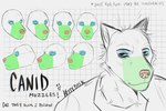 :3 anthro artist_name black_text blue_eyeshadow canid english_text exclamation_point eyeshadow front_view fur geometric_background green_snout grid_background headshot_portrait hi_res kittydisk makeup male mammal model_sheet multiple_angles multiple_images open_:3 orthographic partially_colored pattern_background portrait prick_ears red_nose side_view simple_background snout solo species_name text three-quarter_view white_background