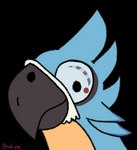 Rating: s
ID: 4463717
Date: 2023-12-10 09:20:31 -0500
Status: active
Score: 55
alpha_channel anthro avian beak blue_body blue_feathers breath_of_the_wild feathers humor kass_(tloz) male nintendo reaction_image rito silly_face simple_background smile stinkvali the_legend_of_zelda transparent_background watermark post #4463717