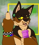 absurd_res alternative_fashion anthro bong bracelet canid canine digital_media_(artwork) drugs flesh_tunnel gesture hand_gesture hi_res jewelry justsomeratz male mammal middle_finger piercing ranger simple_background smoke solo tongue tongue_out tongue_piercing