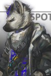 2019 absurd_res anthro arknights black_hair blue_hair clothing collar fur grey_body grey_fur hair hi_res hyena hypergryph jacket looking_away male mammal multicolored_hair prooof_(artist) shirt solo spot_(arknights) spotted_hyena studio_montagne t-shirt topwear two_tone_hair