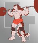 2018 abs absurd_res anthro biceps body_writing bulge clothed clothing digital_media_(artwork) english_text felid fur hi_res male mammal muscular muscular_anthro muscular_male nightterror nipples obliques pantherine pecs simple_background solo text text_on_body tiger topless triceps writing_on_chest