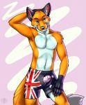 2013 anthro armpit_hair australian_flag biped blue_eyes body_hair boxers_(clothing) canid canine chest_tuft claws clothed clothing digital_media_(artwork) erection flag flag_clothing flag_print flag_underwear fluffy fluffy_tail foreskin fox front_view fur genitals gloves_(marking) hand_behind_head hi_res humanoid_genitalia humanoid_penis looking_at_viewer male mammal markings muscular muscular_anthro muscular_male orange_body orange_fur orithan partially_retracted_foreskin pecs penis penis_poking_out penis_through_fly portrait pose print_clothing print_underwear simple_background solo standing tail three-quarter_portrait topless tuft unbuttoned underwear undressing vallhound white_body white_fur