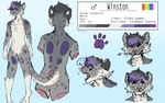 anthro blue_background cheek_tuft chest_tuft color_swatch english_text facial_tuft felid front_view fur gloves_(marking) gore grey_body grey_fur grey_hair grey_markings hair leg_markings lionfloof looking_at_viewer male mammal markings mouth_closed nude pantherine purple_eyes purple_hair purple_markings rear_view simple_background snow_leopard socks_(marking) solo text tuft white_body white_fur