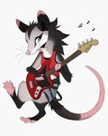 american_opossum anthro aseethe barefoot bass_guitar belt black_body black_fur blue_eyes bottomwear cel_shading claws clothed clothing countershade_torso countershading crop_top cute_fangs cutoffs denim denim_bottomwear denim_clothing dipstick_ears dipstick_tail ear_markings eye_markings feet female female_(lore) fender_jaguar fender_musical_instruments_corporation fender_squier fingerless_(marking) fingerless_gloves_(marking) flat_chested fluffy fully_clothed fully_clothed_anthro fully_clothed_female fur gloves_(marking) grey_body grey_fur guard_hair guitar hi_res hybrid kali_denise mammal markings marsupial membrane_(anatomy) midriff multicolored_body multicolored_ears multicolored_fur musical_instrument musical_note musical_symbol neck_tuft on_one_leg on_tail paws plantigrade playing_bass plucked_string_instrument prehensile_tail raised_foot rat_tail semi-anthro shaded shirt shorts signature simple_background smile solo standing straps streetwear string_instrument symbol tail tail_markings techwear teeth teeth_showing toeless_(marking) toes tomboy topwear tuft virginia_opossum water_opossum webbed_feet whiskers white-eared_opossum white_background white_body white_fur