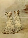 Rating: s
ID: 5552239
Date: 2025-05-06 02:10:11 -0400
Status: active
Score: 4
1910 20th_century ambiguous_gender ancient_art black_nose brown_body brown_fur canid canine canis domestic_dog duo feet feral fluffy fur hunting_dog looking_up mammal maud_earl multicolored_body multicolored_fur rear_view signature sitting snout tail terrier toes traditional_media_(artwork) two_tone_body two_tone_fur west_highland_white_terrier white_body white_fur post #5552239