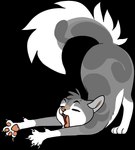 2020 alpha_channel ambiguous_gender black_whiskers character_name claws digital_drawing_(artwork) digital_media_(artwork) digitigrade domestic_cat eyebrows eyes_closed fangs felid feline felis feral flat_colors full-length_portrait fur grey_body grey_fur head_tuft mammal mintfur_(riverclan) nifty-senpai open_mouth pawpads paws pink_nose pink_pawpads pink_tongue portrait raised_tail simple_background solo stretching tail teeth tongue transparent_background tuft whiskers white_body white_claws white_fur yawn