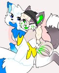 absurd_res anthro belovedfoxx breast_squish breasts canid canine canis duo felid female genitals hi_res ivy_(sona) looking_at_another lucky_(sona) male male/female mammal pantherine penis piercing smile squish tiger wings wolf