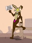 2023 3:4 3_toes 4_fingers anthro brown_body brown_fur canid canine canis clothed clothing coyote dracojeff english_text feet fingers fur holding_object holding_sign looking_at_viewer looney_tunes male mammal outside pink_clothing pink_thong pink_underwear sign skimpy solo tail text thong thong_only toes topless underwear underwear_only warner_brothers wile_e._coyote yellow_sclera