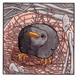 1:1 ambiguous_gender avian beak bird black_body black_feathers comic comic_panel cowbird falseknees feathers feral icterid looking_up nest one_panel_comic oscine passerine solo traditional_media_(artwork) young