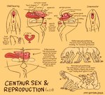 Rating: e
ID: 5557683
Date: 2025-05-08 12:23:33 -0400
Status: active
Score: 26
2022 alien all_sixes anatomical_diagram anatomy anus ass_to_ass big_clitoris butt butt_shot centaur_(rtts) chode clitoris cross_section english_text erection eye_contact female female/female genitals group heart_symbol hi_res hooves internal_testicles jayrockin kidney looking_at_another male male/female monochrome multiple_images organs ovaries penetration penis pillow pink_anus pink_clitoris pink_penis pink_pussy proboscis_(anatomy) pussy restricted_palette runaway_to_the_stars sex spinnerets tapering_penis taur text thick_penis tribadism trunk_(anatomy) tusks unguligrade unusual_anatomy unusual_anus_placement unusual_genitalia_placement unusual_penis_placement unusual_pussy_placement uterus vaginal vaginal_penetration post #5557683