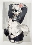 absurd_res animal_genitalia anthro balls band-aid bandage biped canid canine clothed clothing dipstick_tail dr.kiyo eyebrows femboy fur genitals hi_res kemono kiyo_(dr.kiyo) male mammal markings sheath solo tail tail_markings white_body white_fur